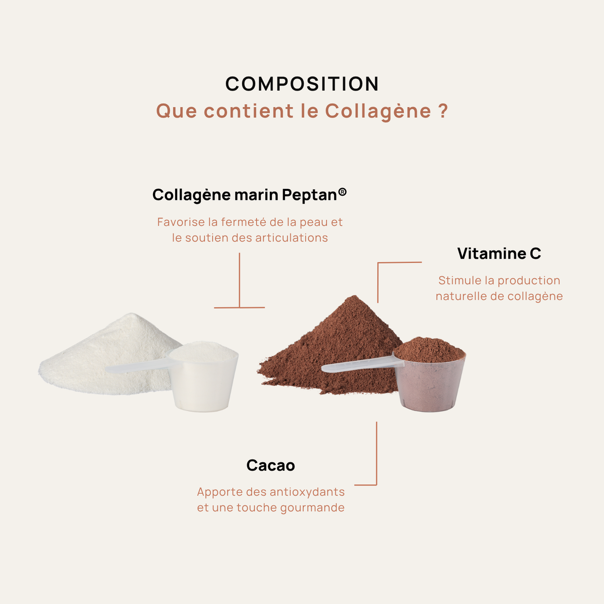 Collagène Marin