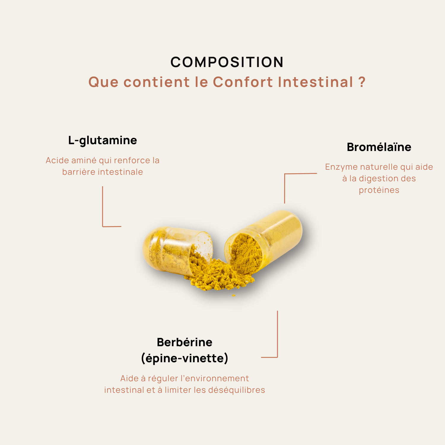 Confort Intestinal